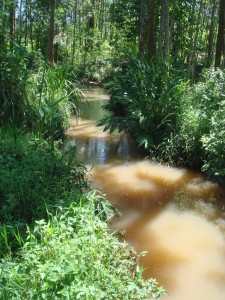 DSC02405